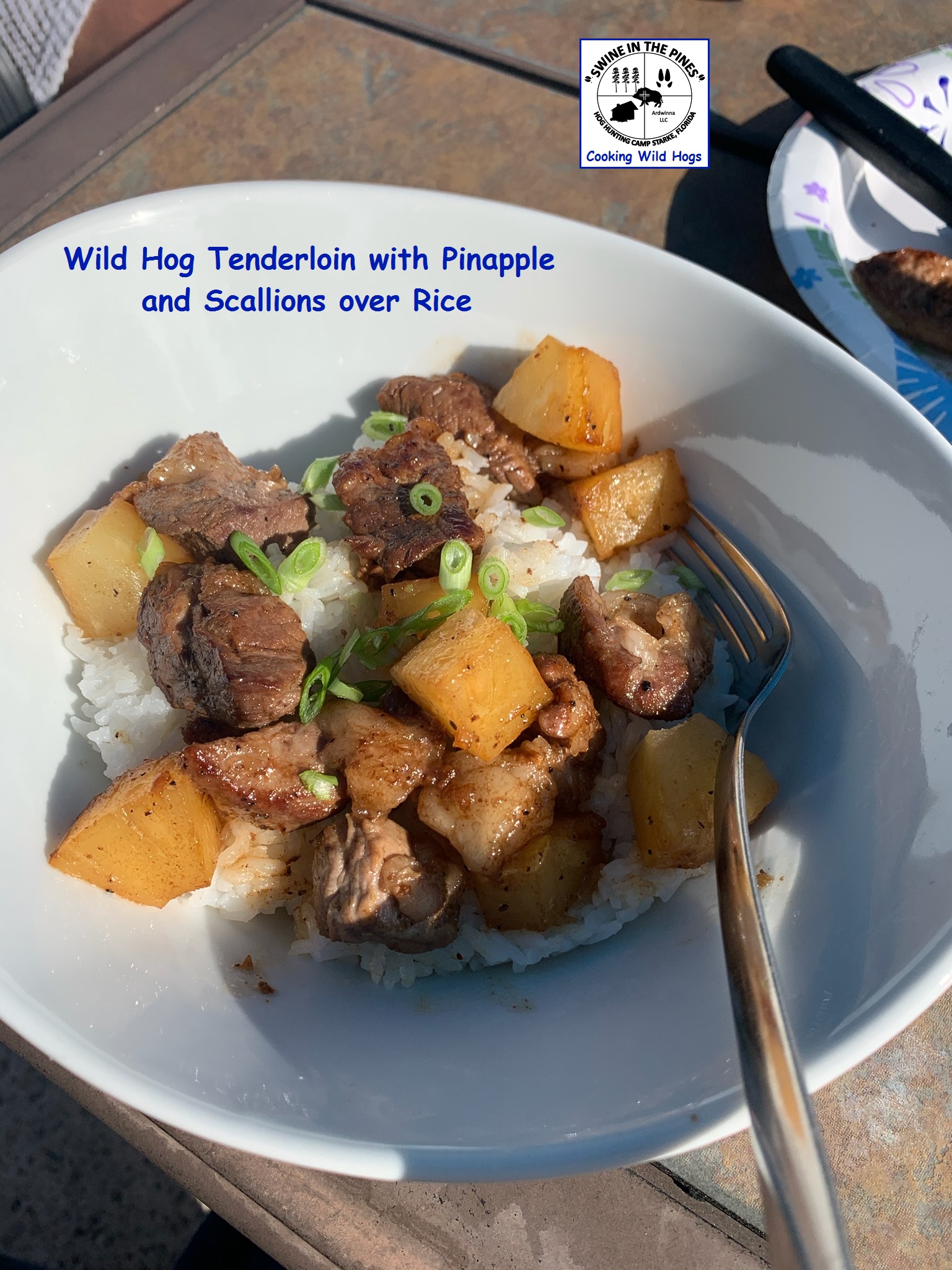 Wild Hog Tenderloin with Pinapple and Scallions over Rice