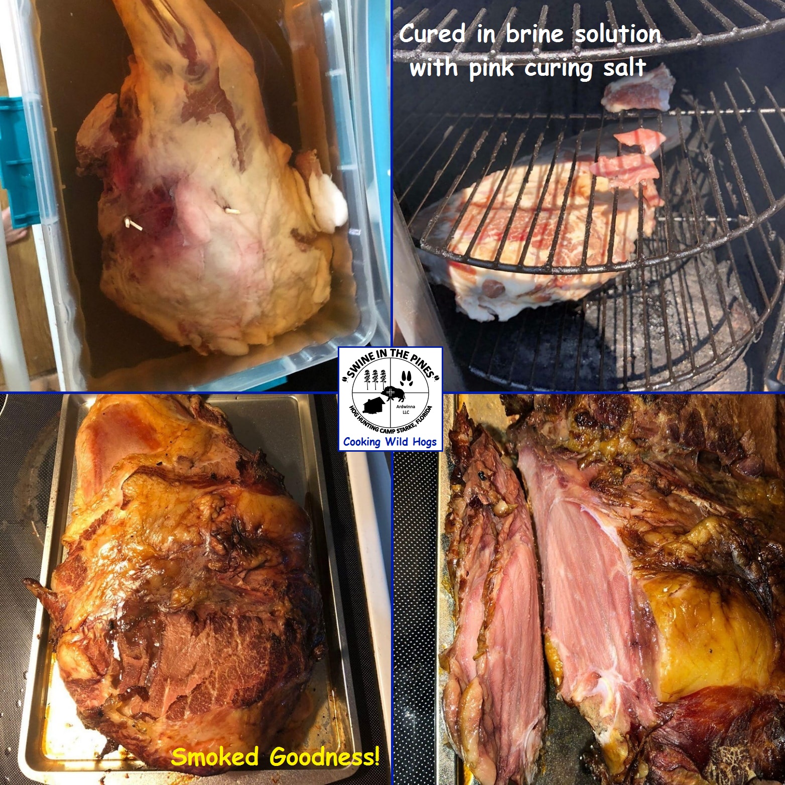 Thanks Will for the pics, Cured in brine solution with pink curing salt, Smoked Goodness!