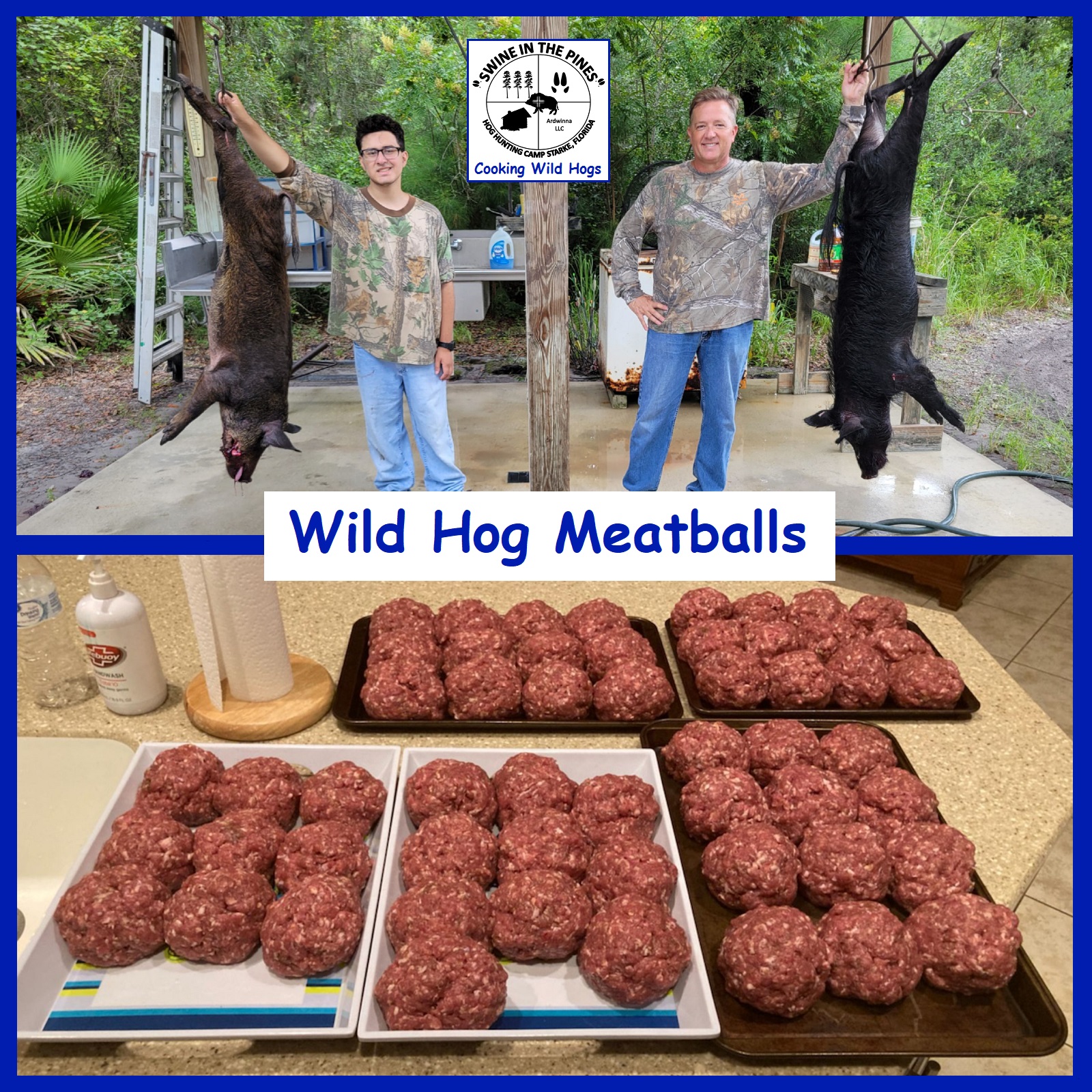 Wild Hog Meatballs
