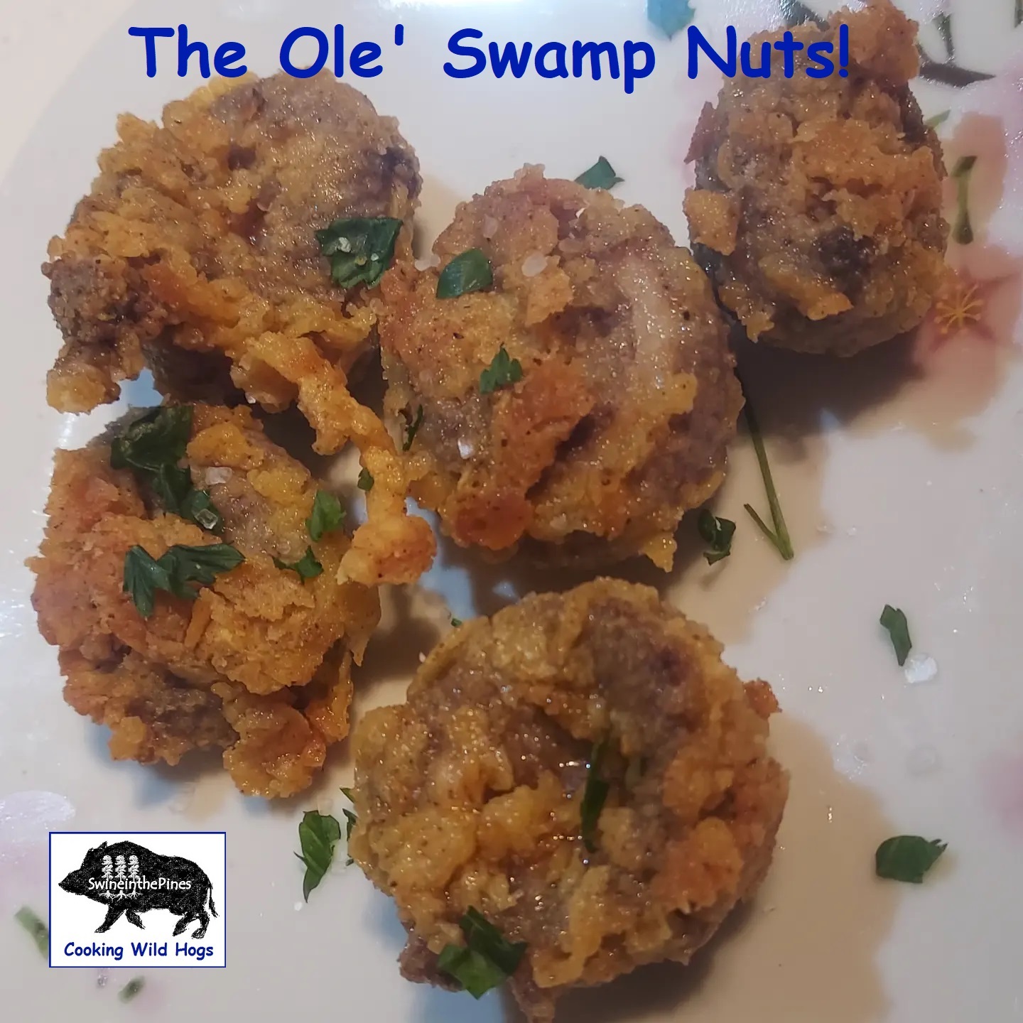 The Ole' Swamp Nuts