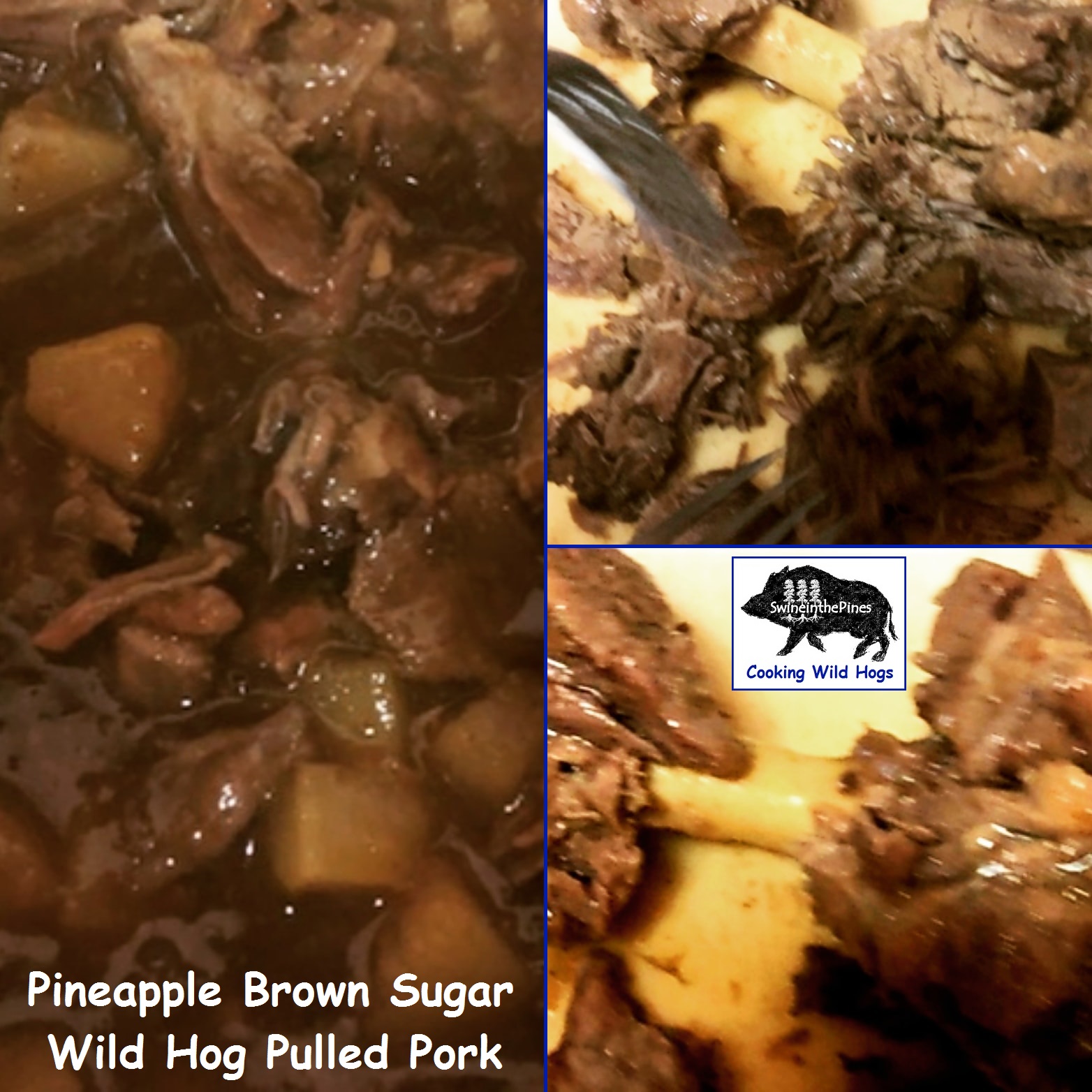 Pineapple Brown Sugar Wild Hog Pulled Pork!