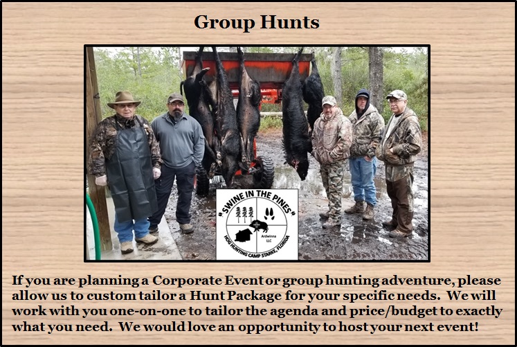 Group Hunts at Swine In The Pines