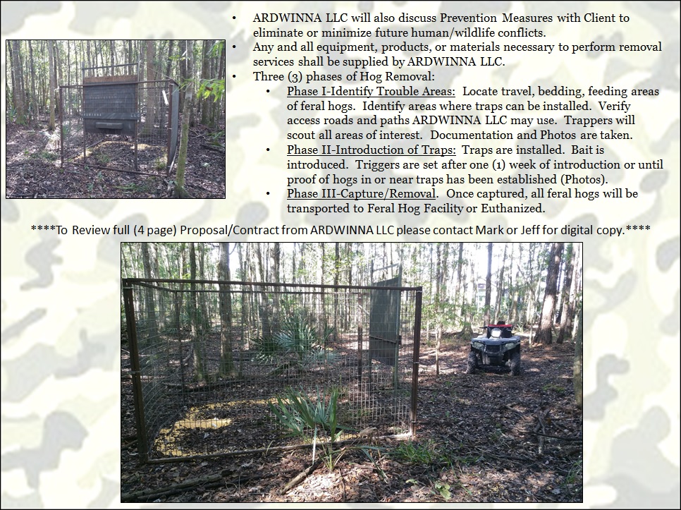 Feral Hog & Swine Removal from Swine In The Pines