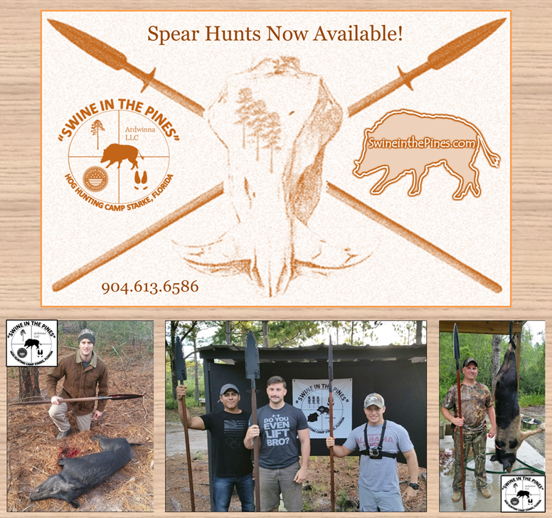 Spear Hunts at Swine In The Pines