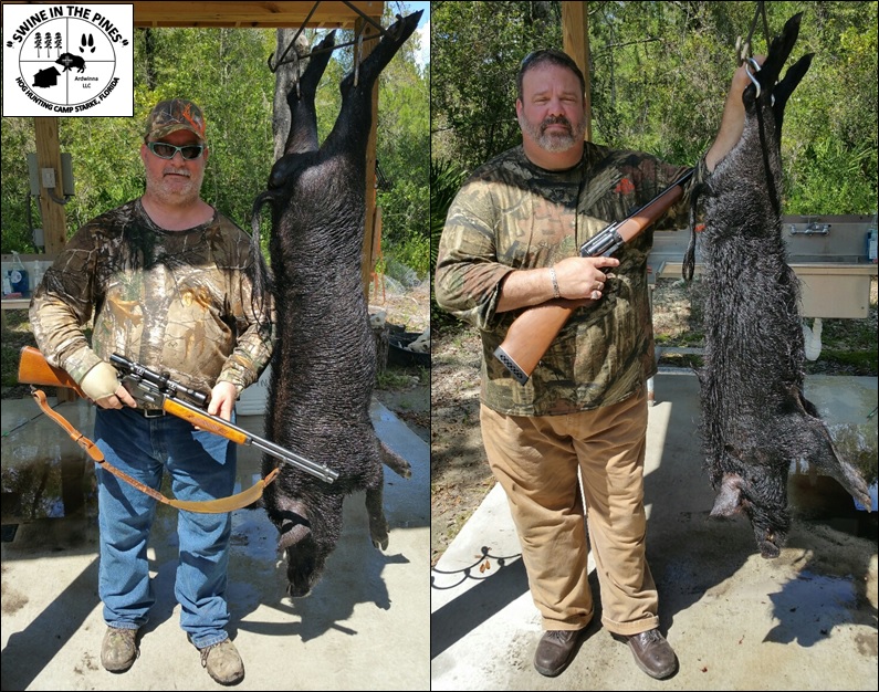 Arthur and Cleveland harvested these two impressive Piney Wood Rooters! at Swine In The Pines in Northeast Florida