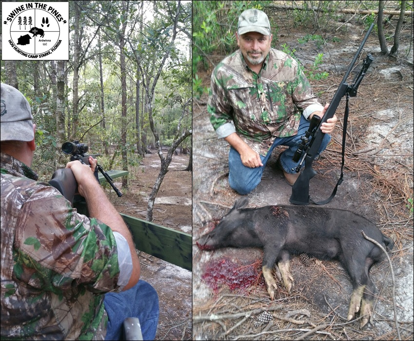Brian harvested this 70lb Boar Hog from Swine In The Pines in Starke, Florida