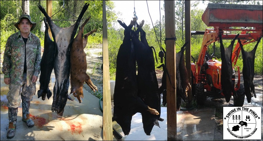 Eric with his Wild Hogs at Swine In The Pines Hog Hunting Camp