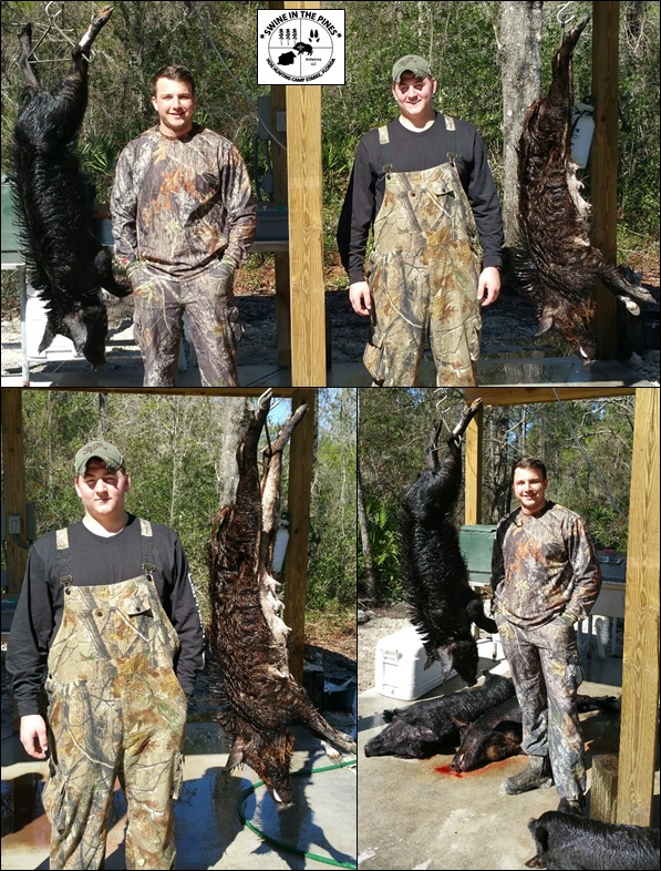Corey Duzick and Anthony Tacinelli took one running Wild Hog in the Cyprus Swamp and the other in the Pines at Swine In The Pines Hog Hunting Camp