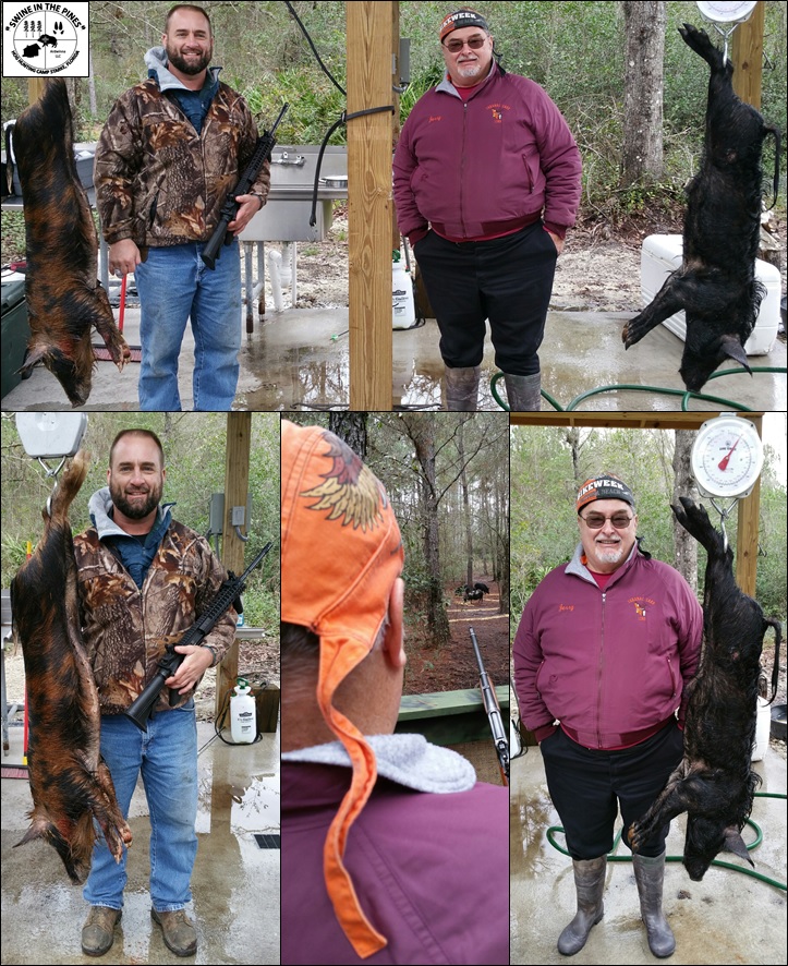 Daniel and Gerald Trim harvested two Meat Hogs at Swine In The Pines Hog Hunting Camp