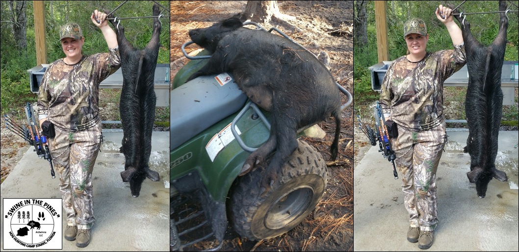 Dena got her first Wild Hog with a bow at Swine In The Pines Wild Hog Hunting Camp