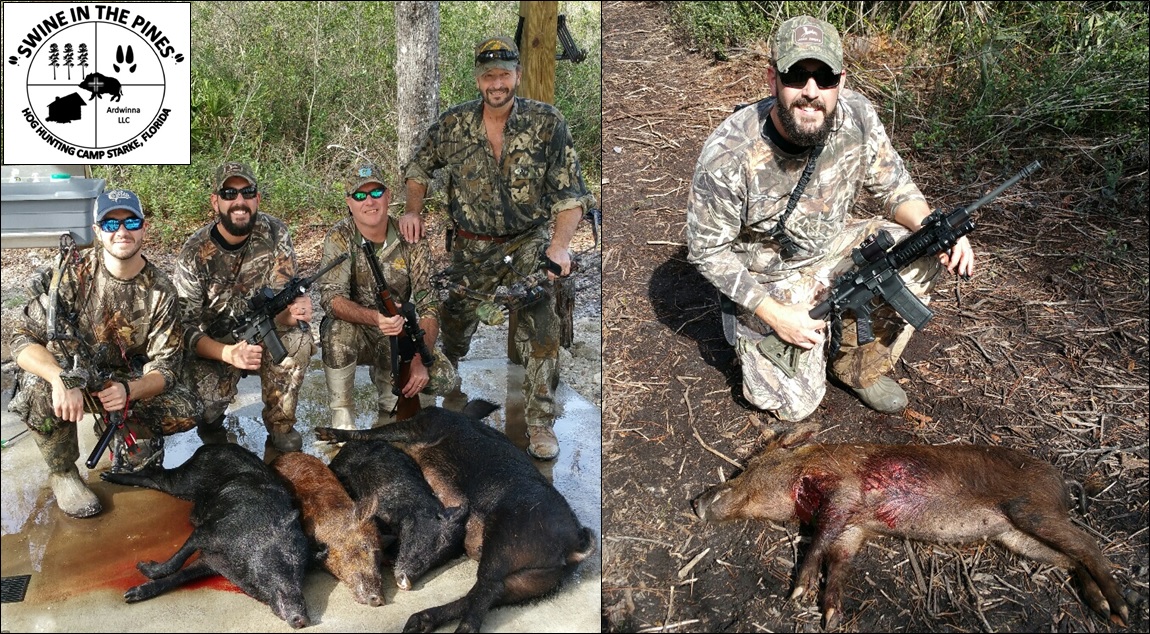 Heath Stephens harvested a 50lb Sow with his .223 on a Guided Hog Hunt at Swine In The Pines