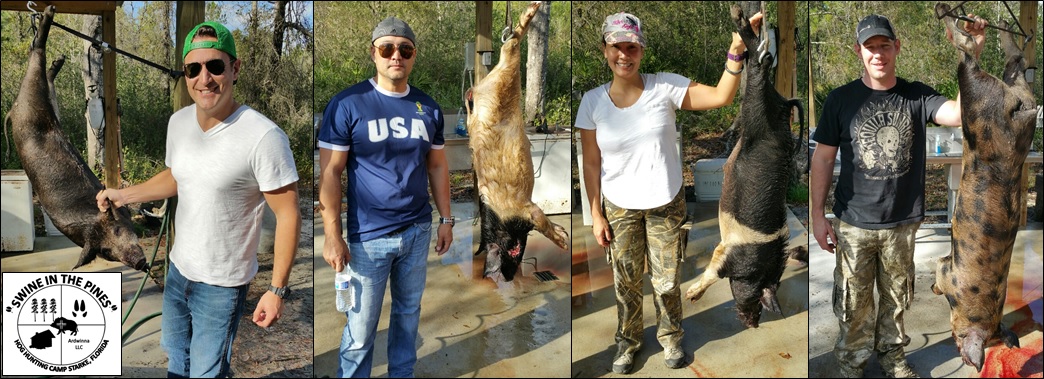 Jake, Tim, Cindy, and Craig all shot some awesome hogs on a Guided Hog Hunt at Swine In The Pines in Starke, Florida