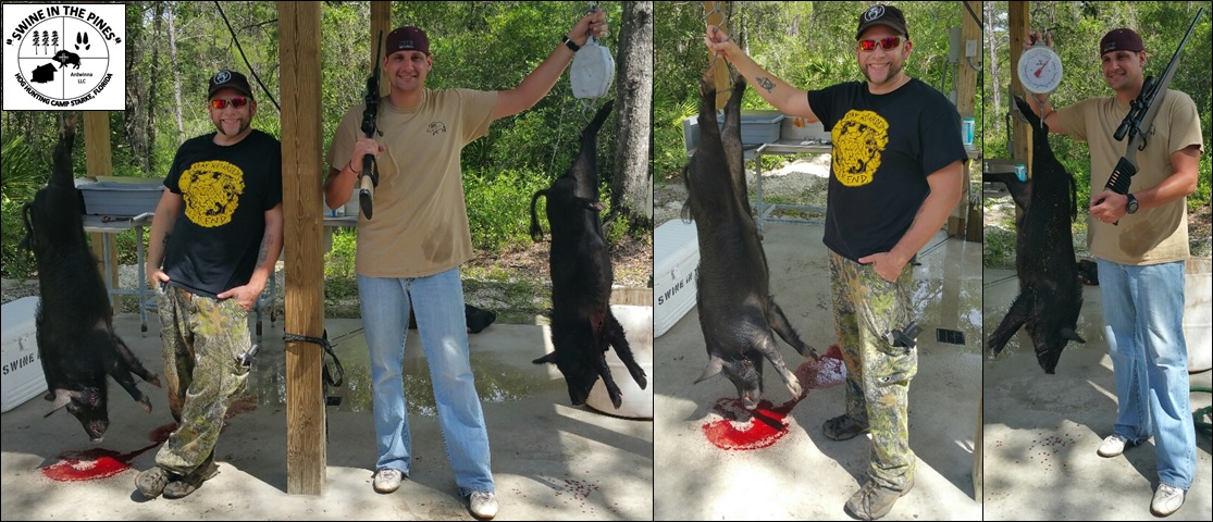 Jesse and Matt shot two nice Boars while on a Guided Hog Hunt at Swine In The Pines