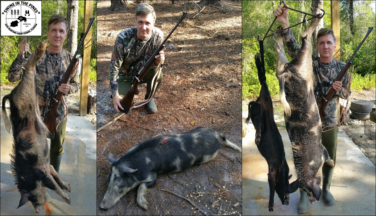Ken Hammered a 108lb Boar and 60lb Sow from the Euro Blind! at Swine In The Pines Hog Hunting Camp