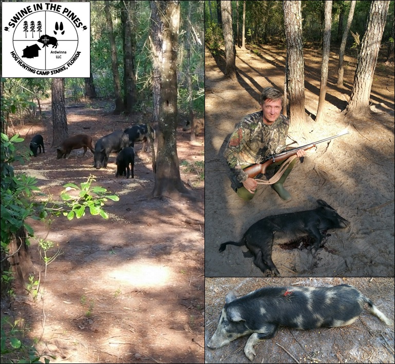 Ken with his Wild Boar & Sow after a Guided Hog Hunt at Swine In The Pines in Starke, Florida