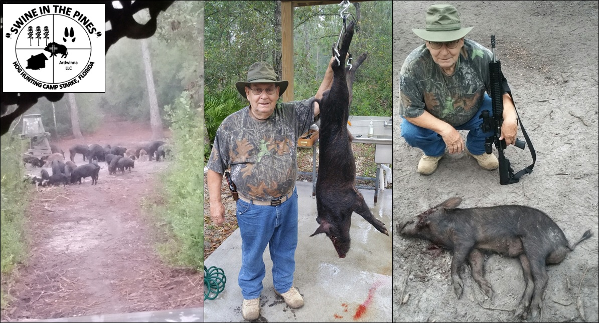 Mr. Larry took this Piney Woods Rooter at Swine In The Pines Hog Hunting Camp