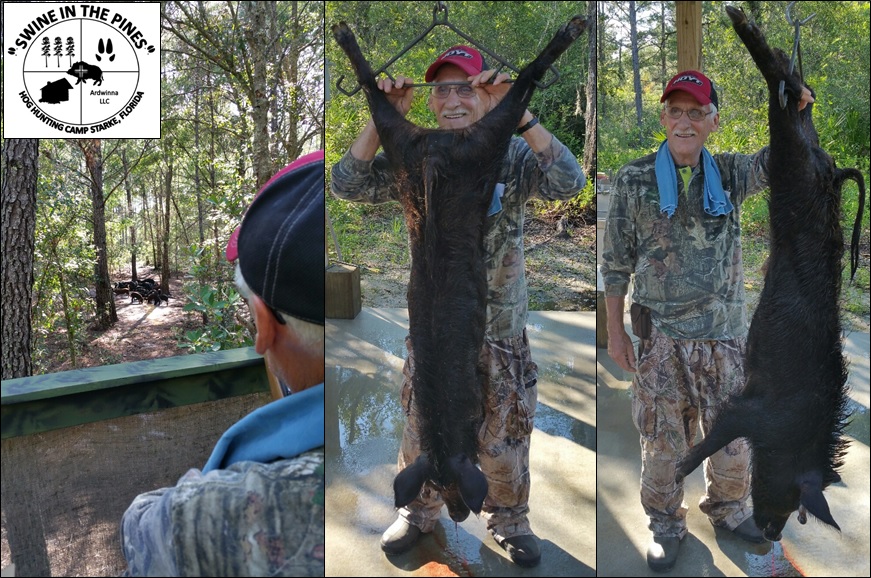 Louis took this 64lb Wild Boar at Swine In The Pines Hog Hunting Camp