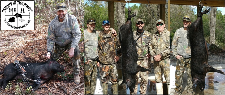 Randal Stephens harvested a 158lb Sow at Swine In The Pines Hog Hunting Camp