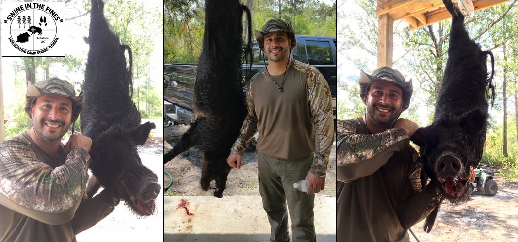 Robert shot this Awesome 170lb Wild Boar at Swine In The Pines Northeast Florida's Hog Hunting Camp