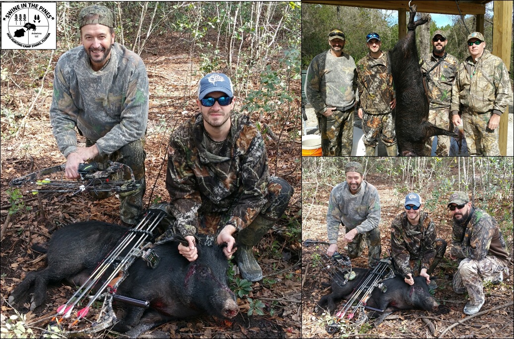 Randal Stephens, Seth Stephens, Heath Stephens, and Mike Wallen Bow Hunting Feral Hogs at Swine In The Pines